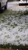 Hailstorm in Roseville, MI.jpg