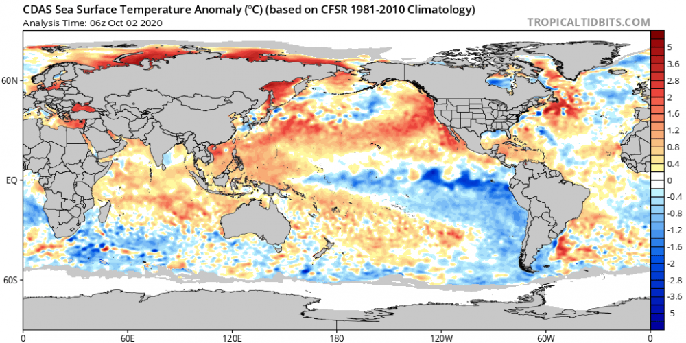 cdas-sflux_ssta_global_1.png