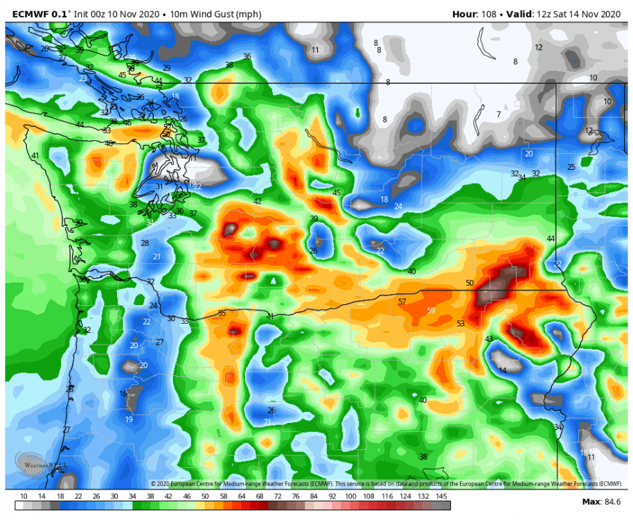 ecmwf-deterministic-washington-gust_mph-5355200.png