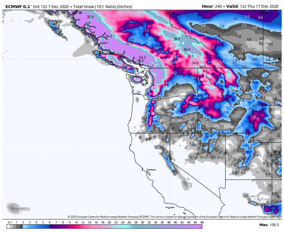 ecmwf-deterministic-nw-total_snow_10to1-8206400.png