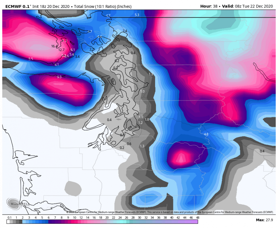 ecmwf-deterministic-seattle-total_snow_10to1-8624000-1.png