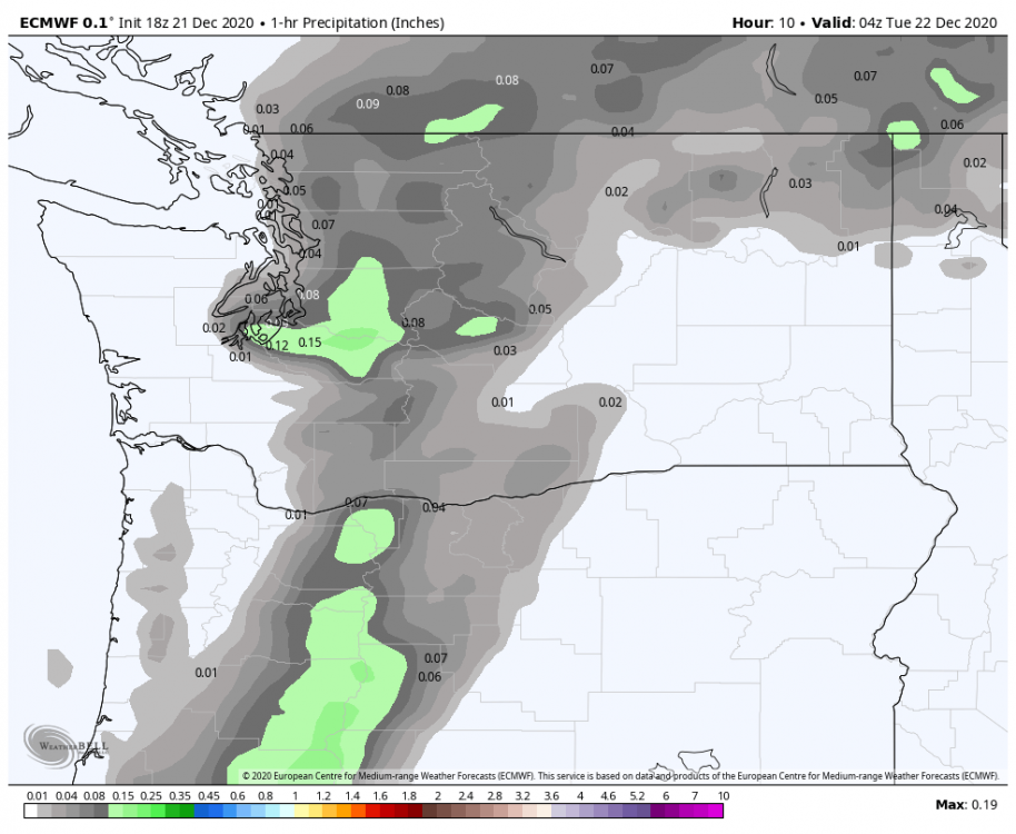 ecmwf-deterministic-washington-precip_1hr_inch-8609600.png