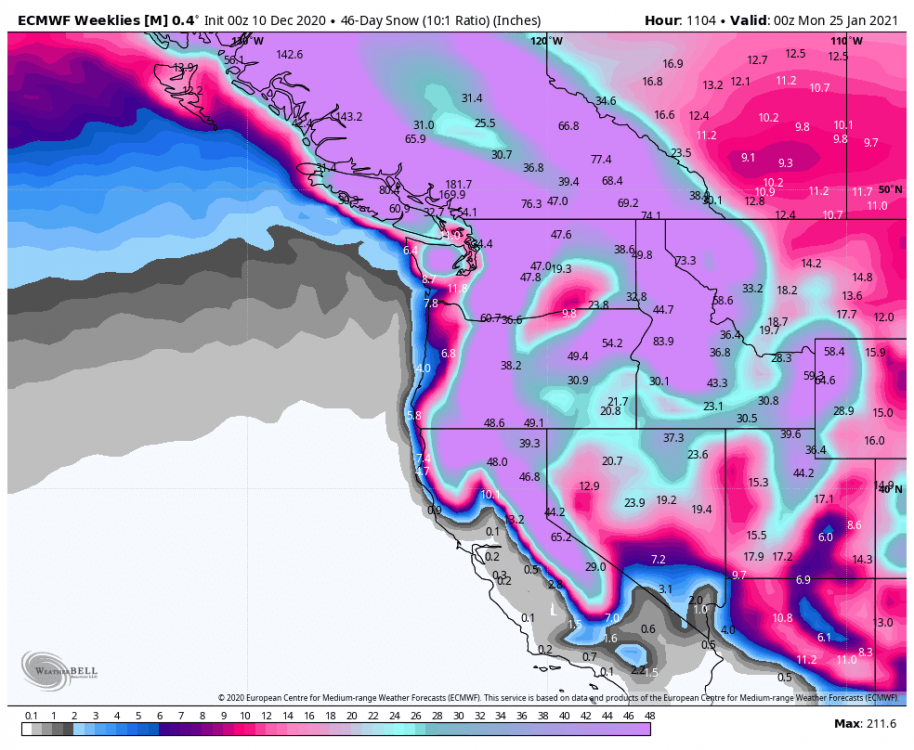 ecmwf-weeklies-avg-nw-snow_46day-1532800.png