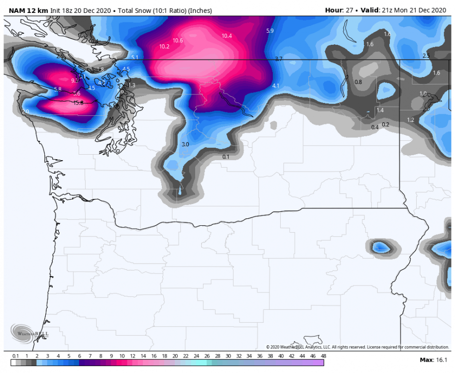 nam-218-all-washington-total_snow_10to1-8584400.png