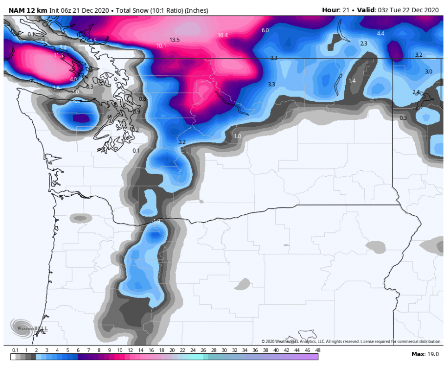 nam-218-all-washington-total_snow_10to1-8606000-1.png