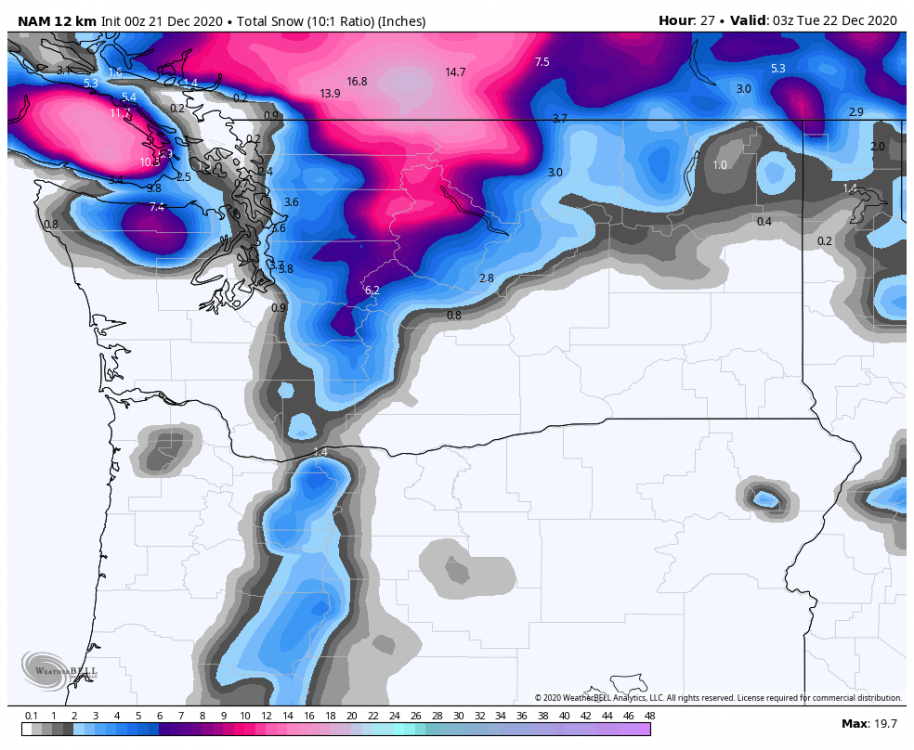 nam-218-all-washington-total_snow_10to1-8606000.png