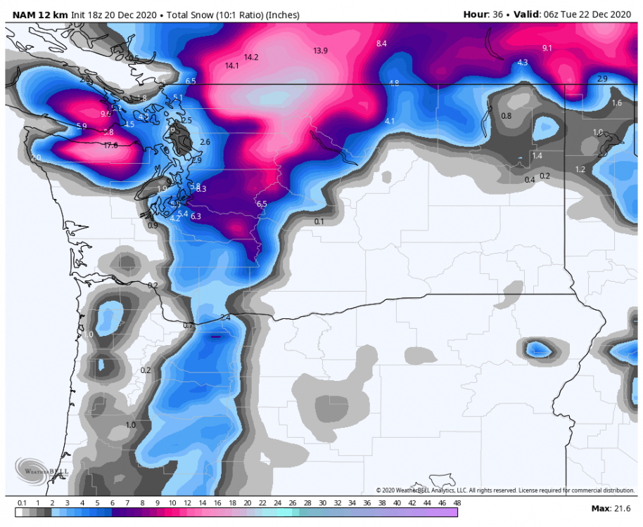 nam-218-all-washington-total_snow_10to1-8616800.png