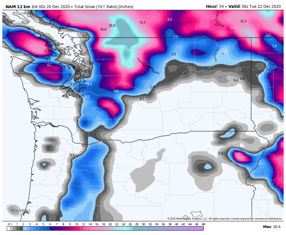 nam-218-all-washington-total_snow_10to1-8616800.png