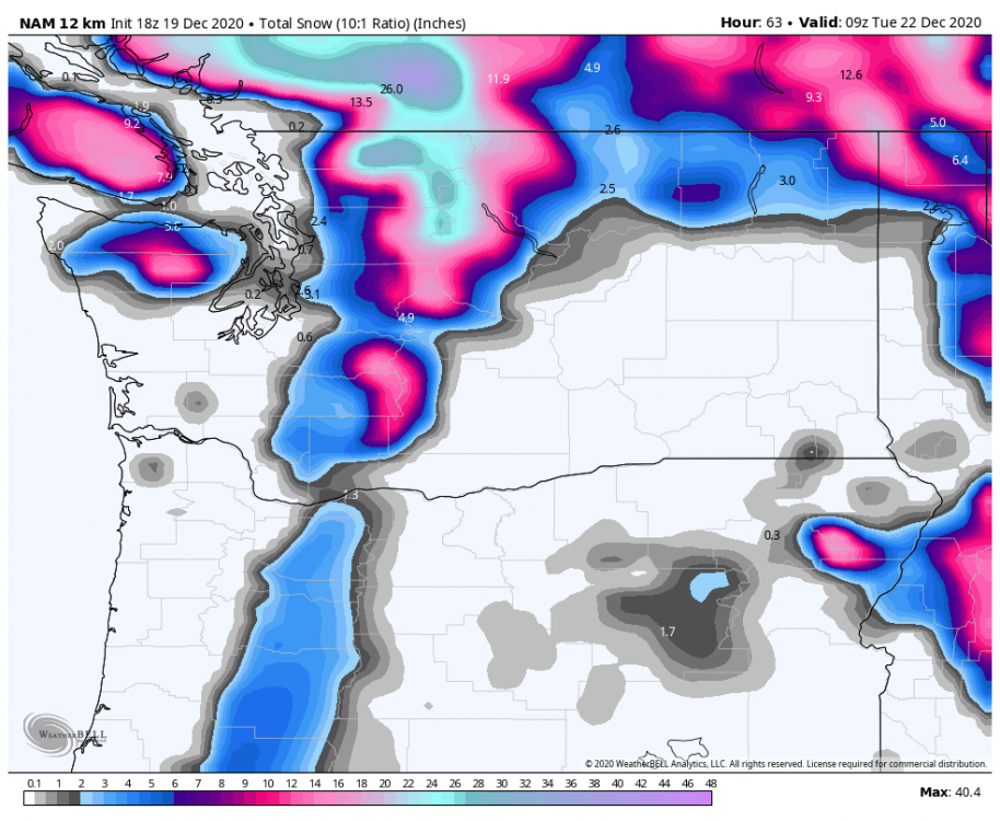 nam-218-all-washington-total_snow_10to1-8627600-1.png