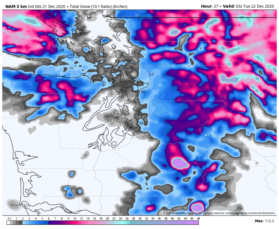 nam-nest-conus-seattle-total_snow_10to1-8606000-1.png