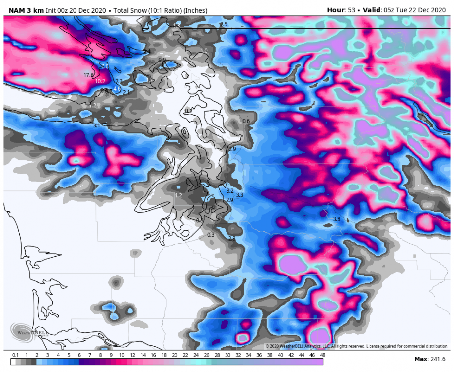 nam-nest-conus-seattle-total_snow_10to1-8613200.png