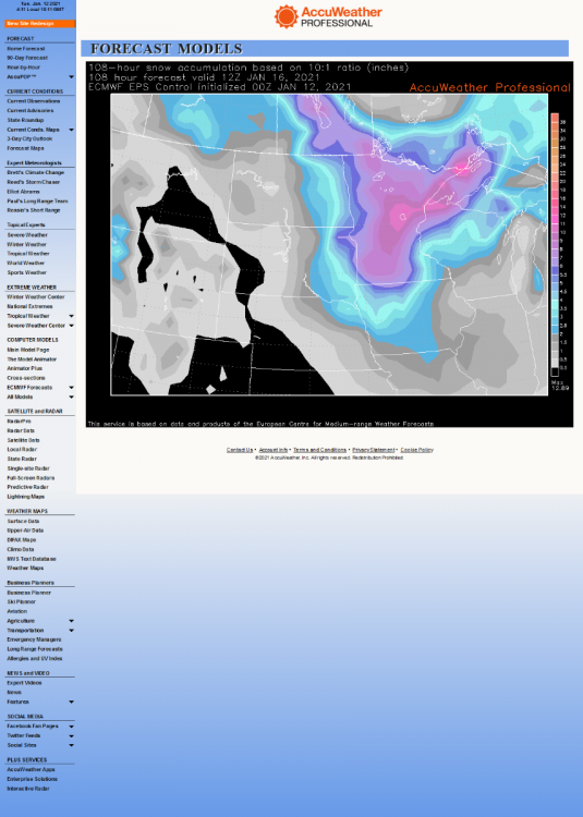 Screenshot_2021-01-12 AccuWeather com® Professional - Forecast Models.png