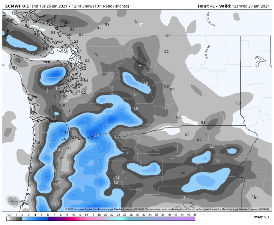 ecmwf-deterministic-washington-snow_12hr-1748800 (2).png