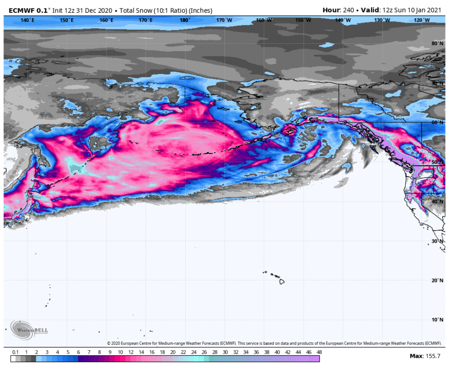 ecmwf-deterministic-npac_wide-total_snow_10to1-0280000.png