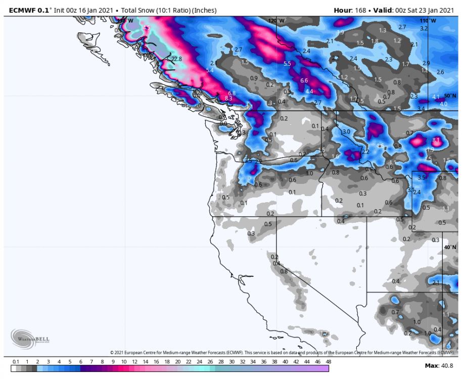 ecmwf-deterministic-nw-total_snow_10to1-1360000.png