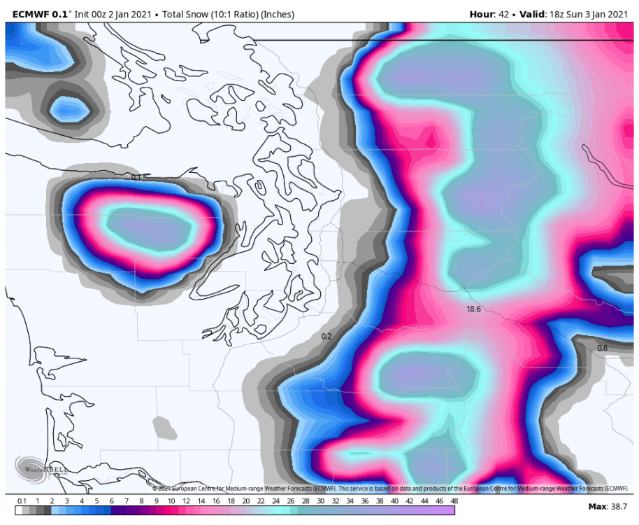 ecmwf-deterministic-seattle-total_snow_10to1-9696800.png