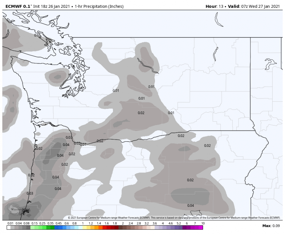 ecmwf-deterministic-washington-precip_1hr_inch-1730800.png