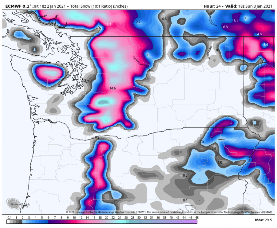 ecmwf-deterministic-washington-total_snow_10to1-9696800.png