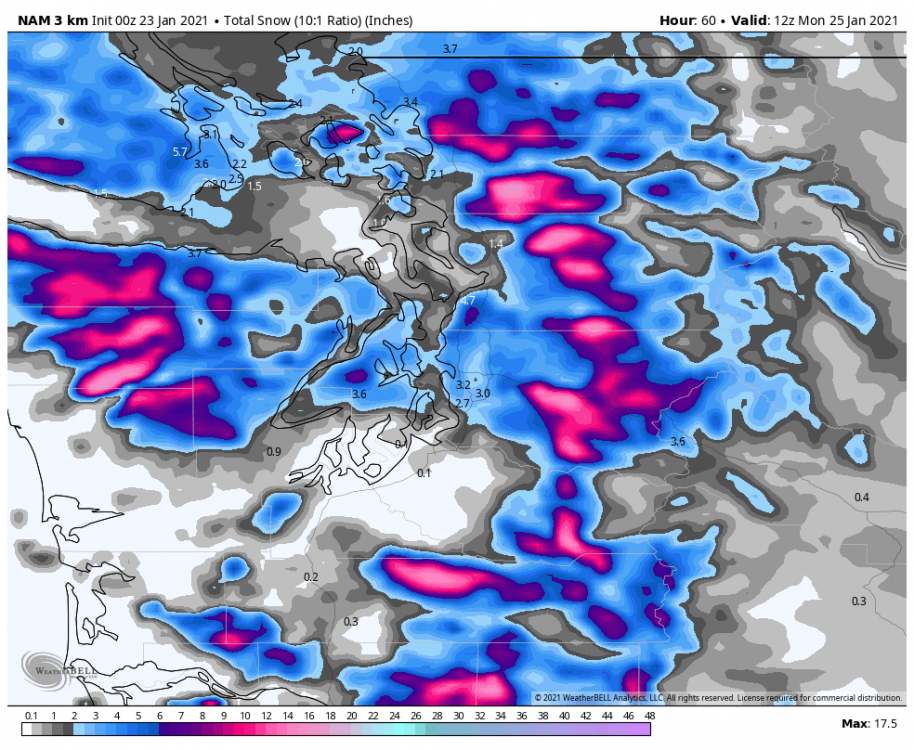 nam-nest-seattle-total_snow_10to1-1576000.png