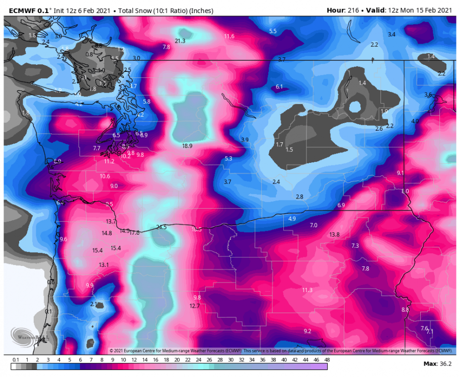 ecmwf-deterministic-washington-total_snow_10to1-3390400.png