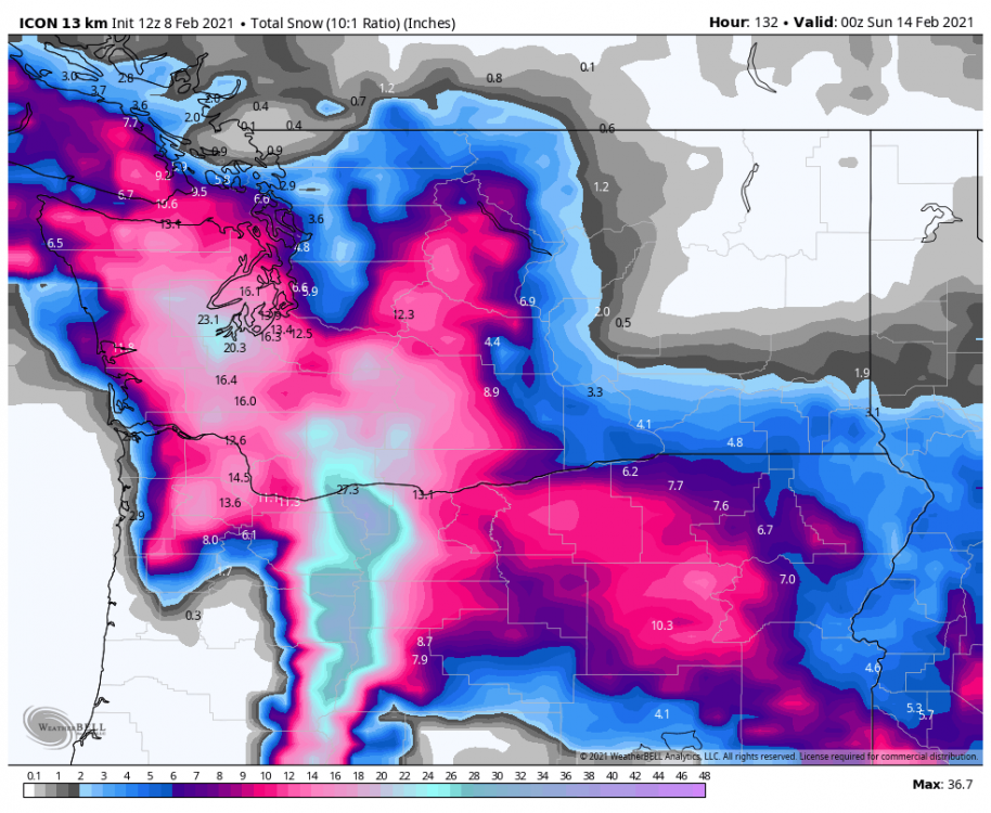 icon-all-washington-total_snow_10to1-3260800.png