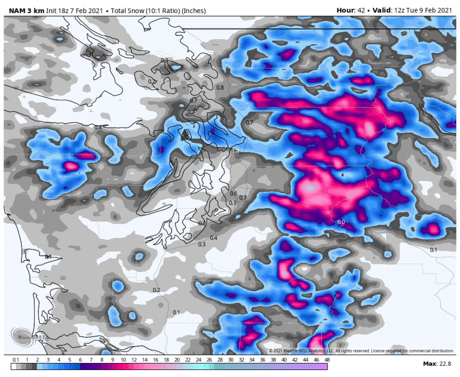nam-nest-seattle-total_snow_10to1-2872000.png