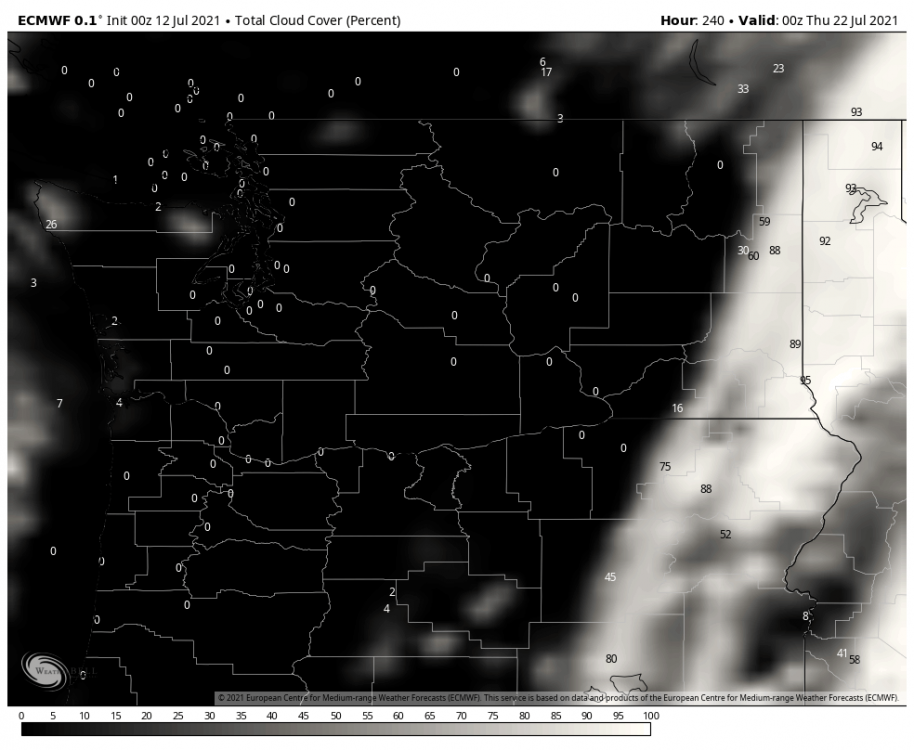 ecmwf-deterministic-washington-total_cloud-6912000.png