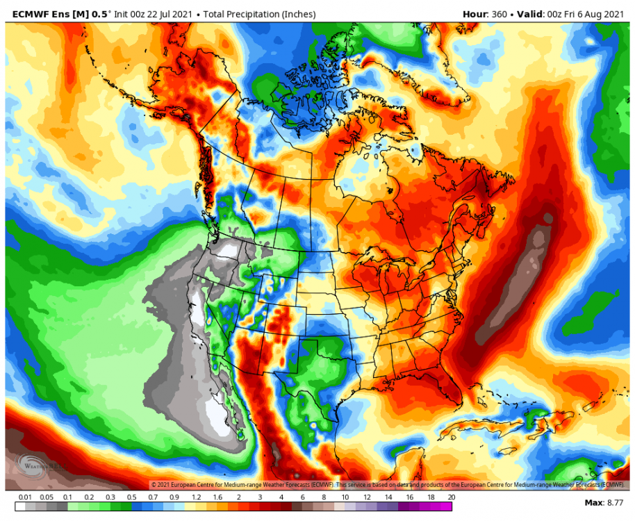 ecmwf-ensemble-avg-namer-total_precip_inch-8208000.png