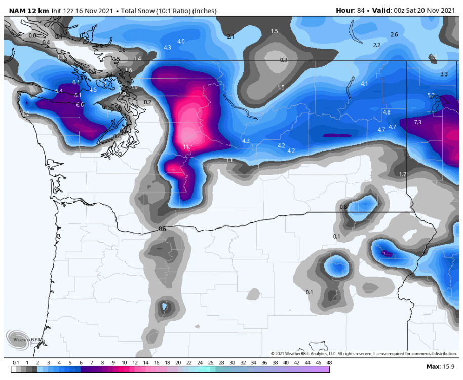 nam-218-all-washington-total_snow_10to1-7366400.png