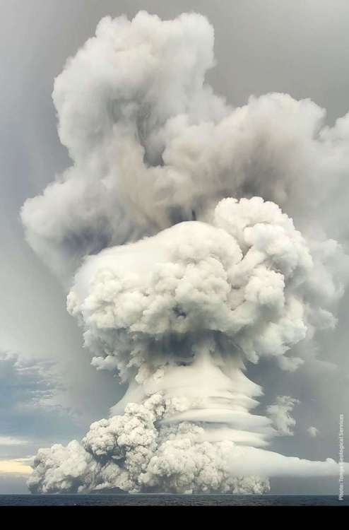 20220114_Hunga eruption TGS-171406 955x1450px.jpg