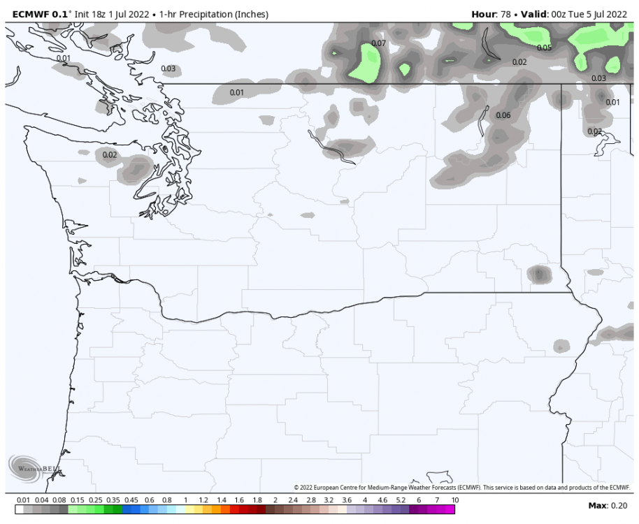 ecmwf-deterministic-washington-precip_1hr_inch-6979200.png