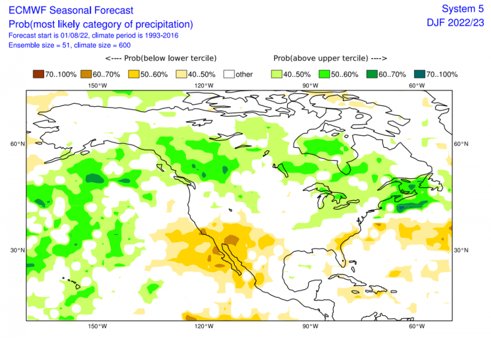 winter-season-forecast-2022-2023-ecmwf-global-seasonal-precipitation-anomaly.png