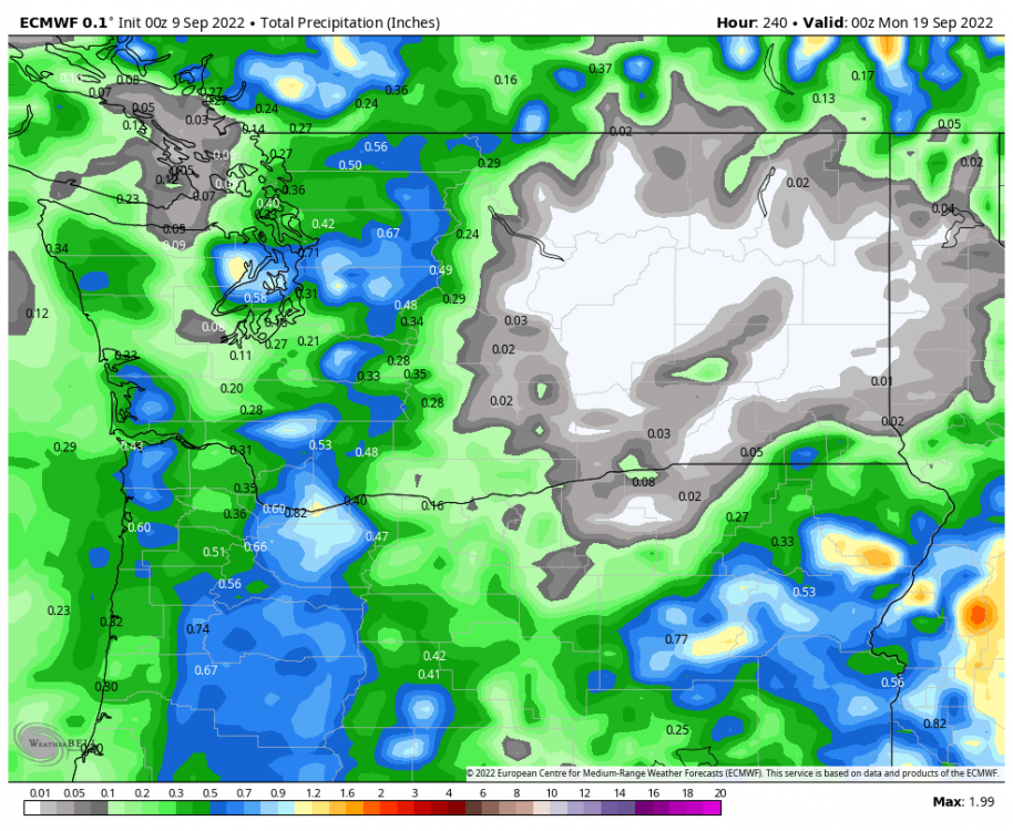 ecmwf-deterministic-washington-total_precip_inch-3545600.png