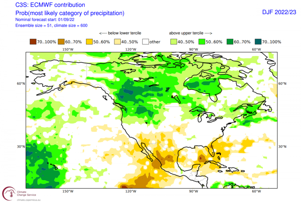 winter-season-forecast-2022-2023-ecmwf-global-seasonal-precipitation-anomaly-update.png