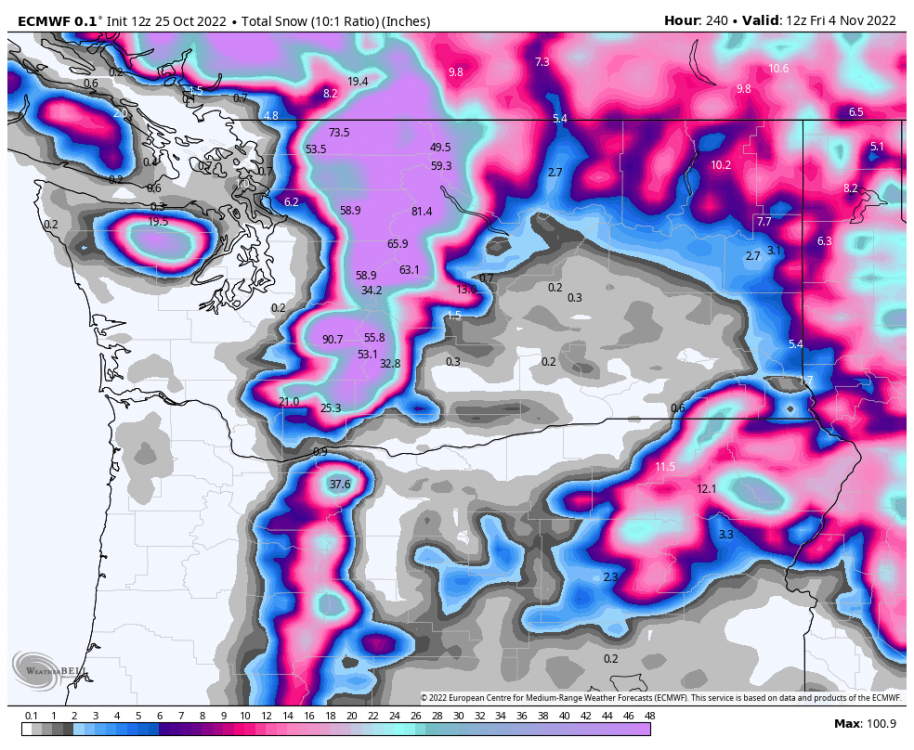 ecmwf-deterministic-washington-total_snow_10to1-7563200.png