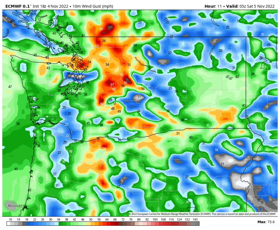 ecmwf-deterministic-washington-gust_mph-7624400.png