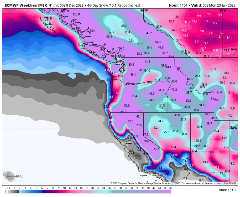 ecmwf-weeklies-avg-nw-snow_46day-4432000.png