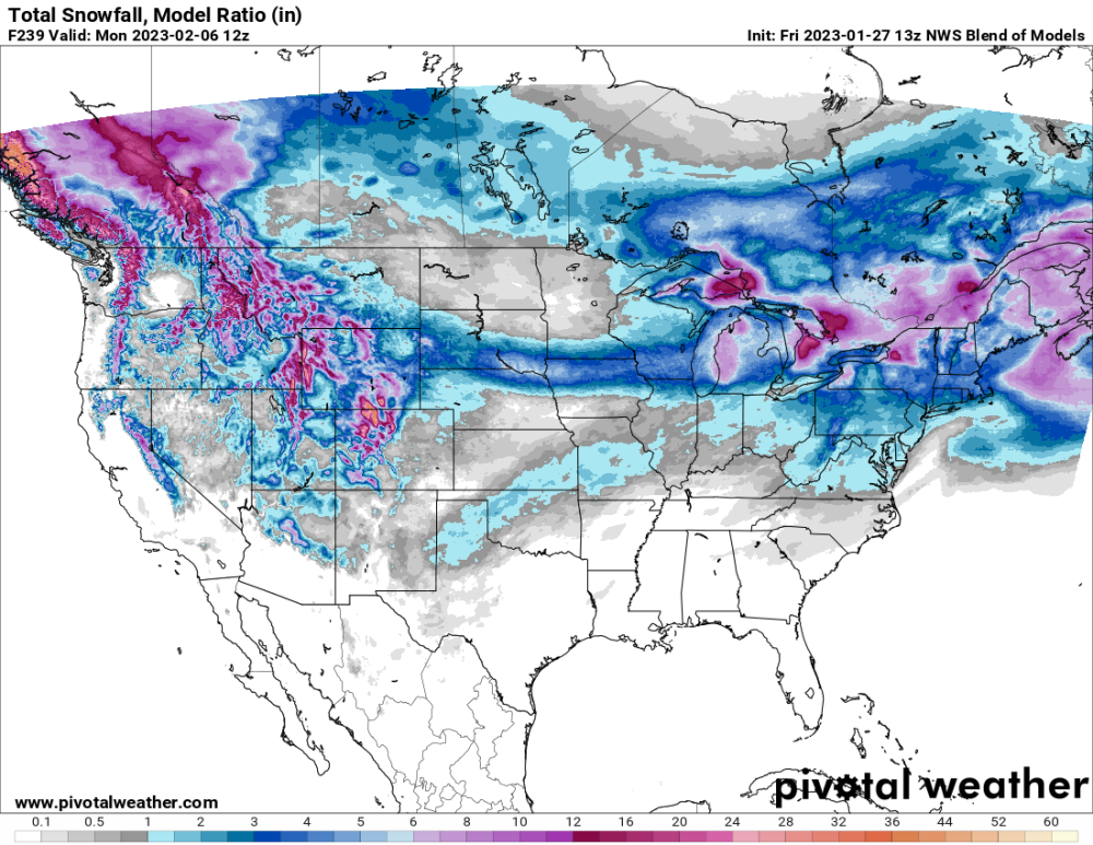 NWS Blend 10.png