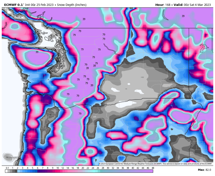 ecmwf-deterministic-washington-snow_depth-7888000 (1).png