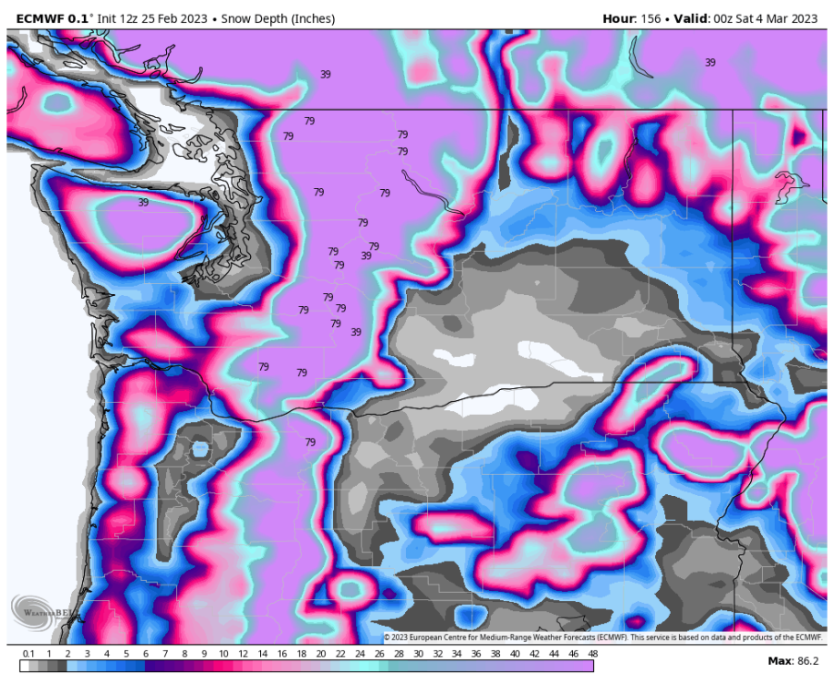 ecmwf-deterministic-washington-snow_depth-7888000 (2).png