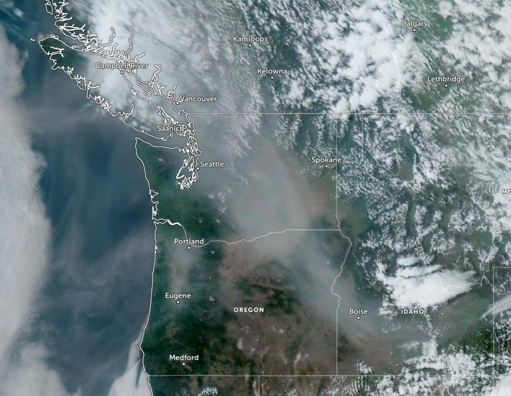 Screen Shot 2023-07-04 at 4.00.29 PM.png