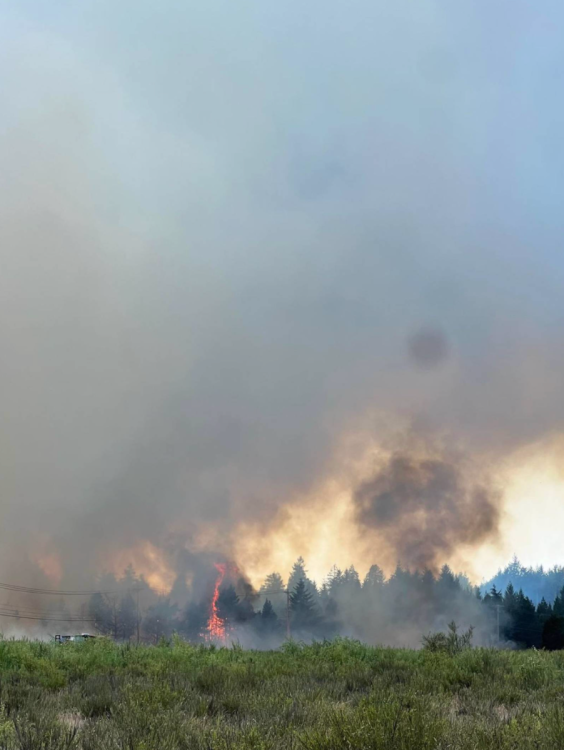 Screen Shot 2023-07-04 at 5.40.08 PM.png