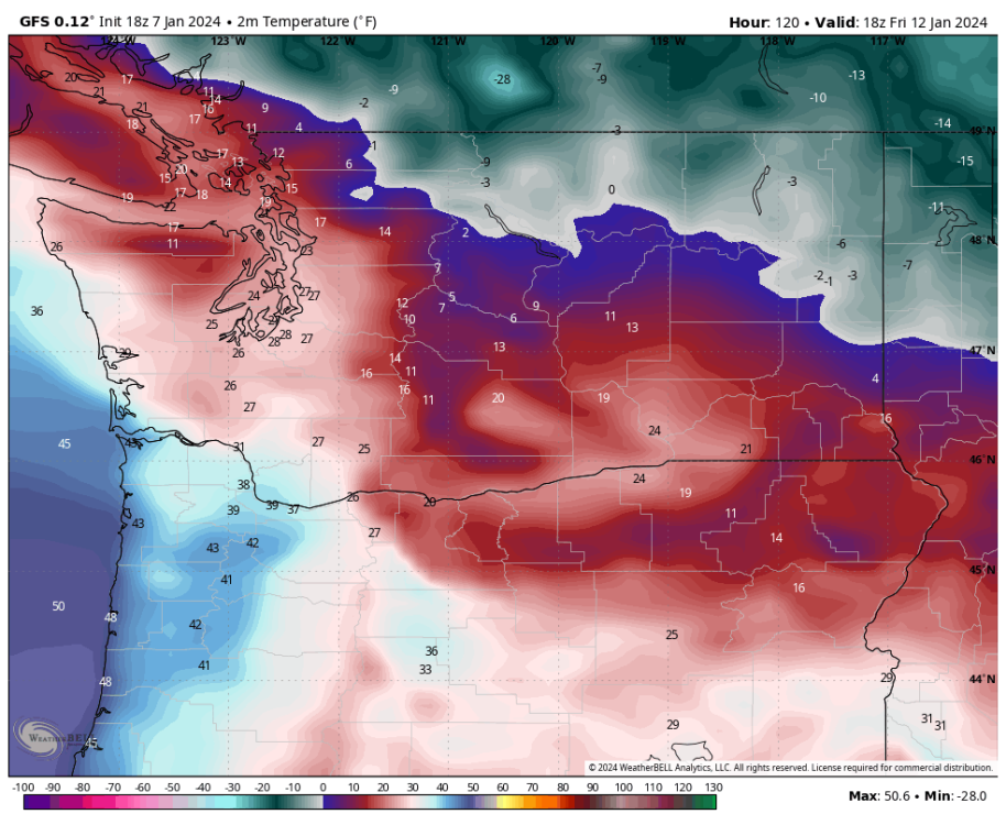 January 2024 Weather In The PNW Part II Page 40 West Of The   IMG 8297.thumb .ba636e21dd88a8d8e56ae86fc12f7715 