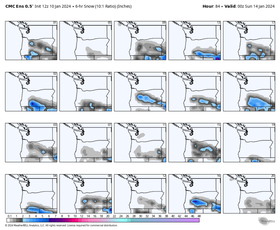cmc-ensemble-all-avg-or_wa-snow_6hr_multimember_panel-5190400.png