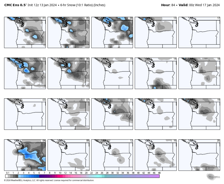 cmc-ensemble-all-avg-or_wa-snow_6hr_multimember_panel-5449600.png