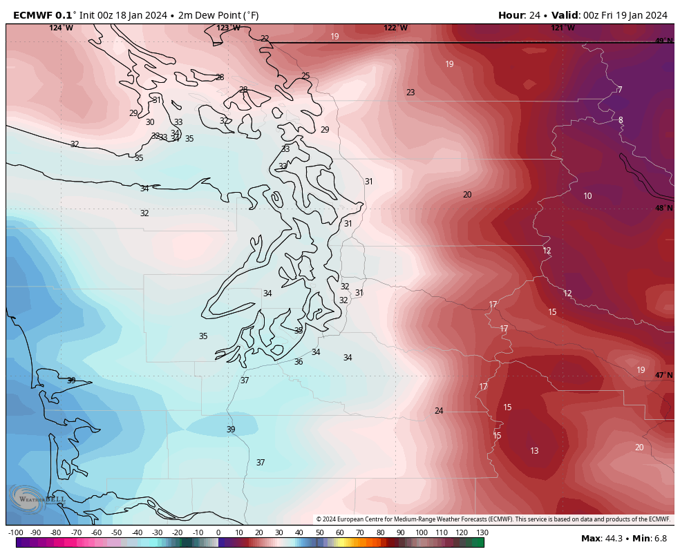 January Weather In The PNW 2024 (Part III) The Warming Shot Page 91