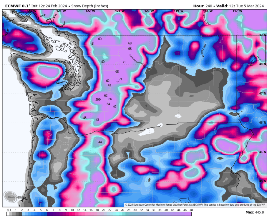 ecmwf-deterministic-washington-snow_depth-9640000.png