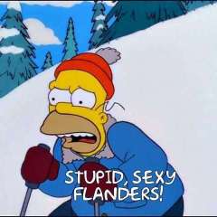 StupidFlanders