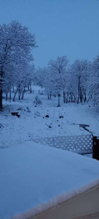 IMG_2493.jpeg