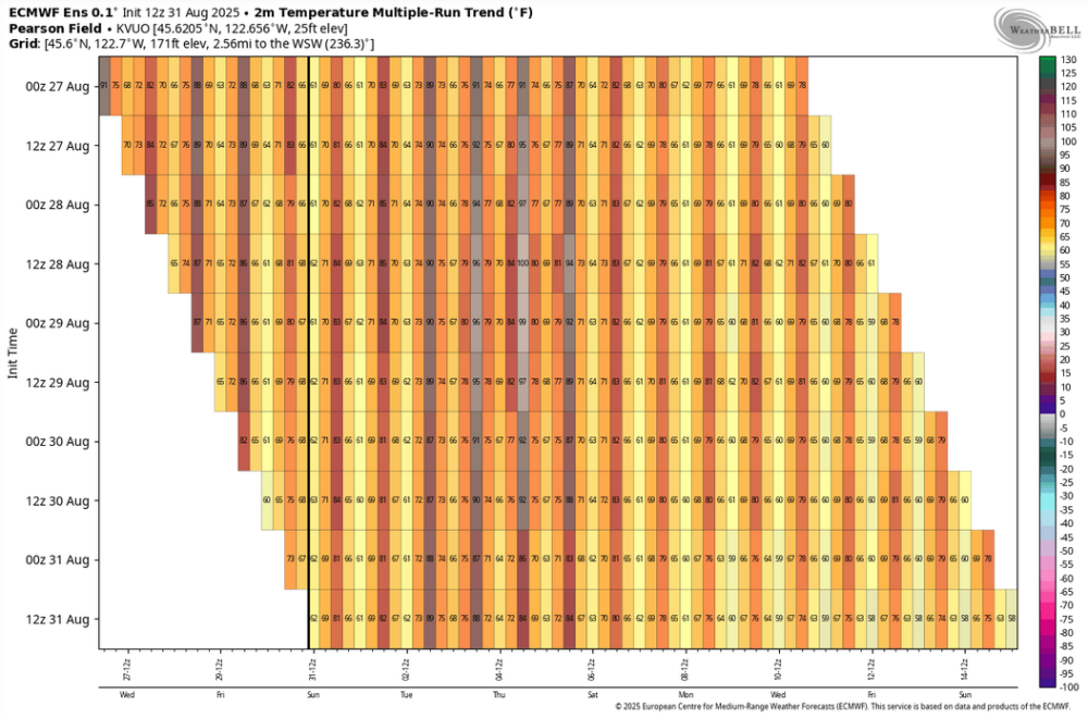 Screenshot 2025-08-31 at 16-41-37 ECMWF ENS WeatherBell Maps.png